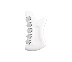 Multi-purpose cassa plate with rollers